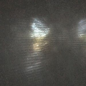 Meet your Posher, Joey